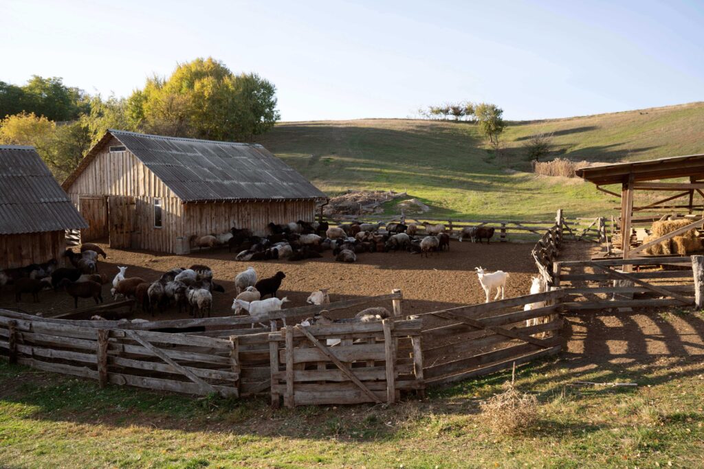 rural-life-concept-with-farm-animals (1) (1) (1)